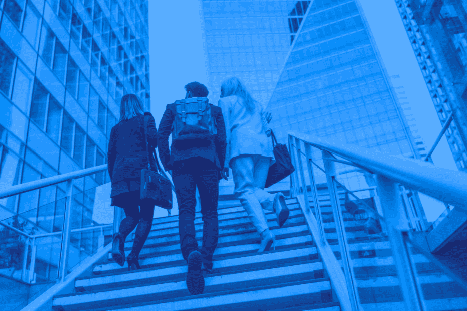 What are the steps in the executive search process