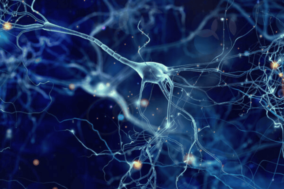 Consider Neurodiverse Candidates for Genius Hires