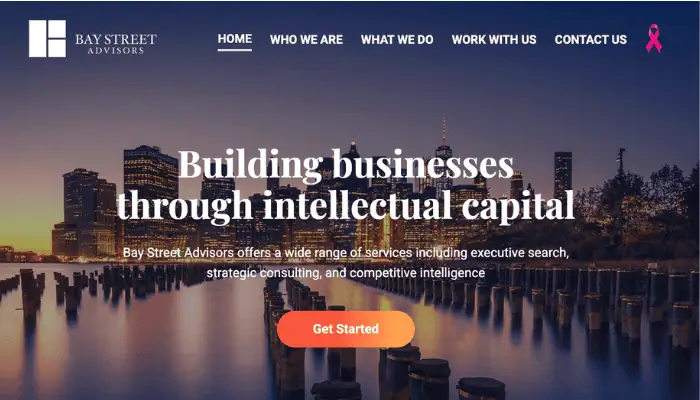 image of Bay Street Advisors home page