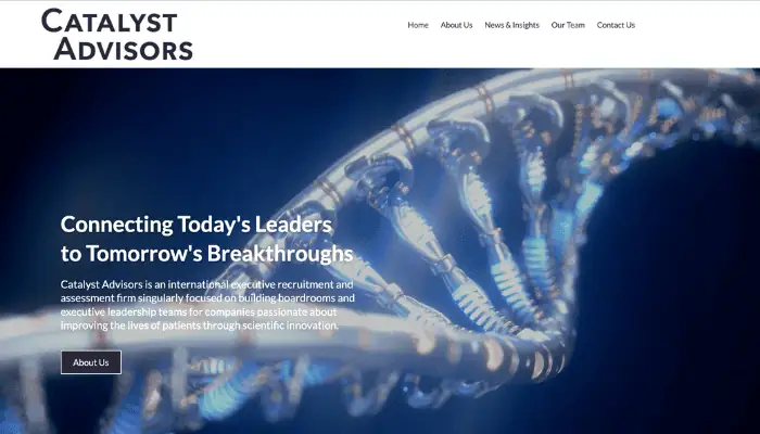 image of Catalyst Advisors home page